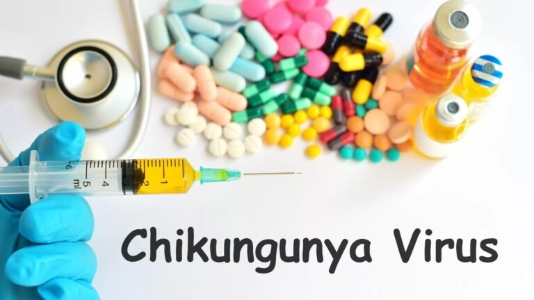 Chikungunya: Understanding Symptoms, Prevention & Treatment