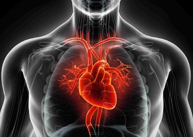 Diastolic Heart Failure: Causes, Symptoms, Treatments Explained