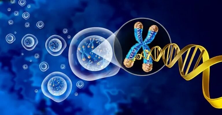 DiGeorge Syndrome: A Closer Look