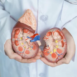 Angiomyolipoma: Causes, Symptoms, and Treatment