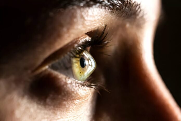 featured-315