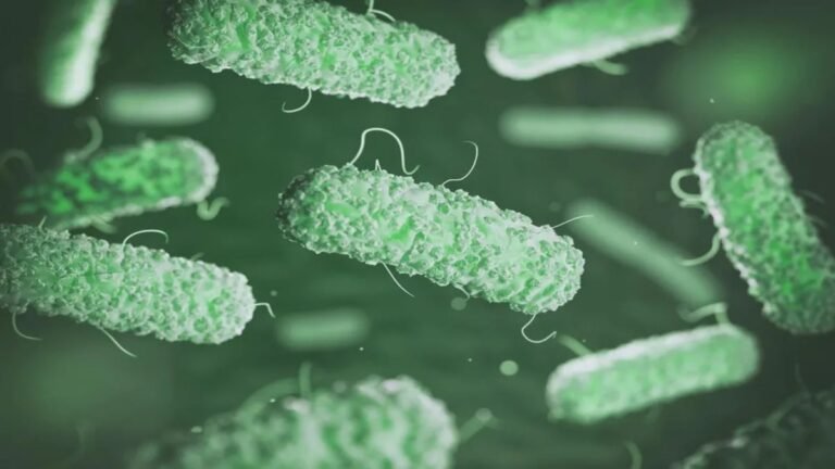 Klebsiella Infection: Causes, Risks, and Treatment Options