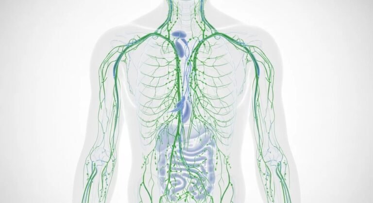Lymphedema: Causes, Symptoms, and Effective Management