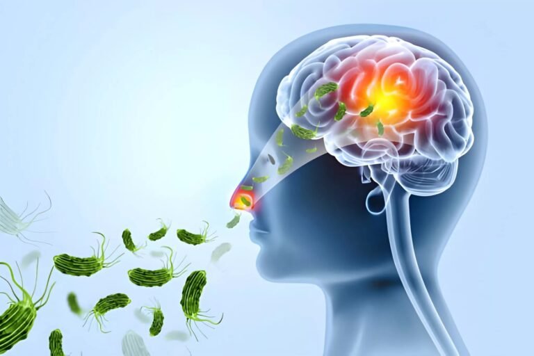 Naegleria Fowleri: Learn About This Deadly Brain-Eating Amoeba