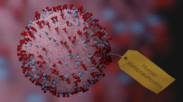 Human Metapneumovirus: A Closer Look at a Respiratory Virus