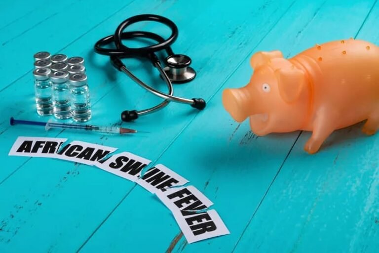 African Swine Fever: Causes, Impact & Prevention Explained