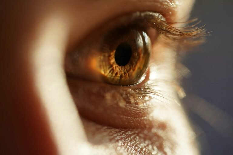 Ocular Melanoma: A Rare but Serious Eye Cancer