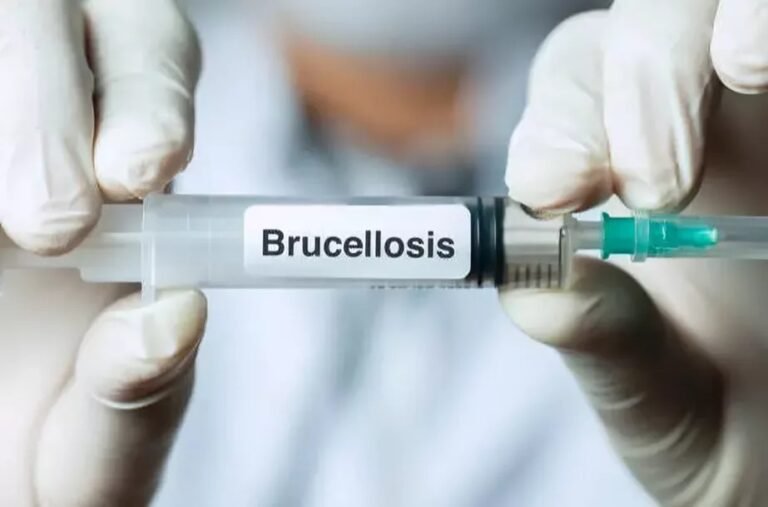 Brucellosis: Understanding the Disease and Its Impact
