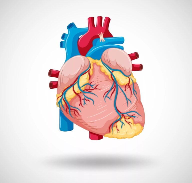Paroxysmal Atrial Fibrillation: Diagnosis, Causes & Treatment