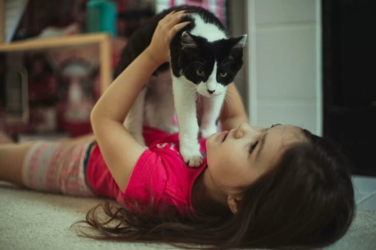 Cat Scratch Disease: Causes, Symptoms & Prevention Basics