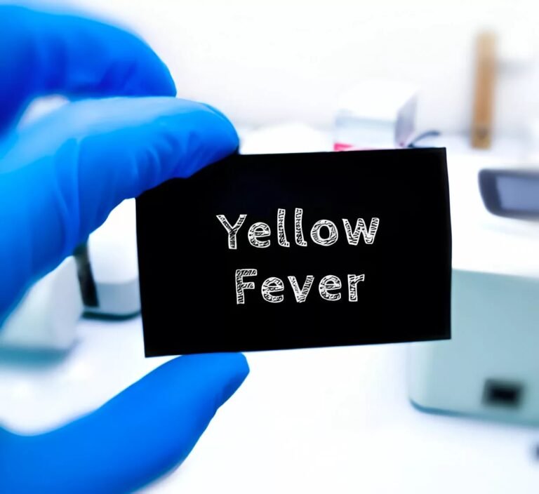 Yellow Fever: What You Need to Know for Prevention and Safety