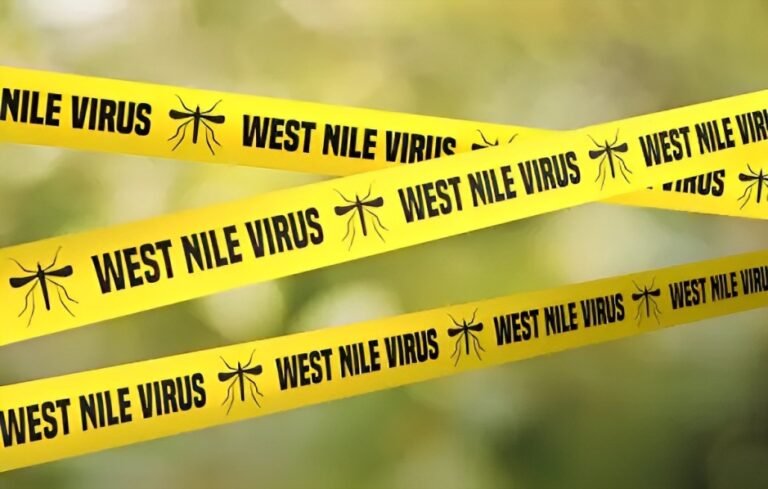West Nile Virus Rash: Symptoms, Treatment & Prevention Tips