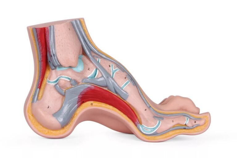 Peroneal Tendonitis: Causes, Symptoms & Treatment