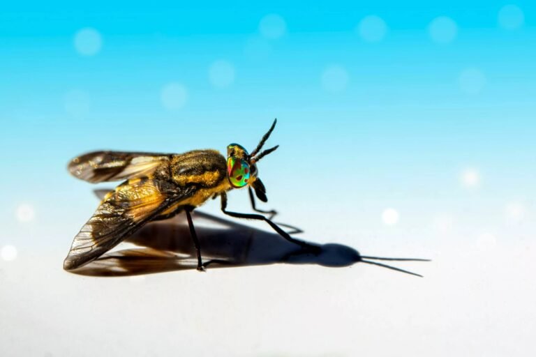 Tularemia: Understanding the Rare Infectious Disease